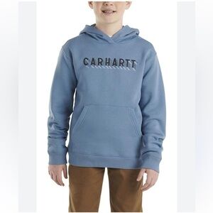 Youth Carhartt Blue Graphic Logo Hoodie Size XL Outdoor Casual Play